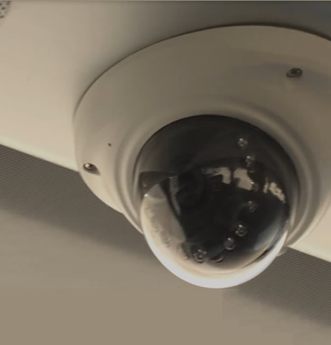 DVR Online buses